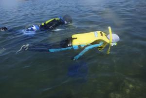 番神自然水族館２