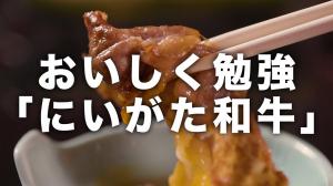 動画　おいしく勉強「にいがた和牛」ーダイジェスト版ーのサムネイル