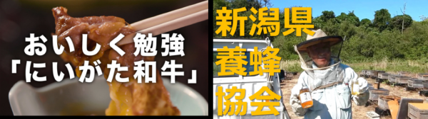 画像　全県エリアの畜産物紹介動画のサムネイル一覧