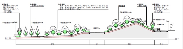 標準横断面の画像