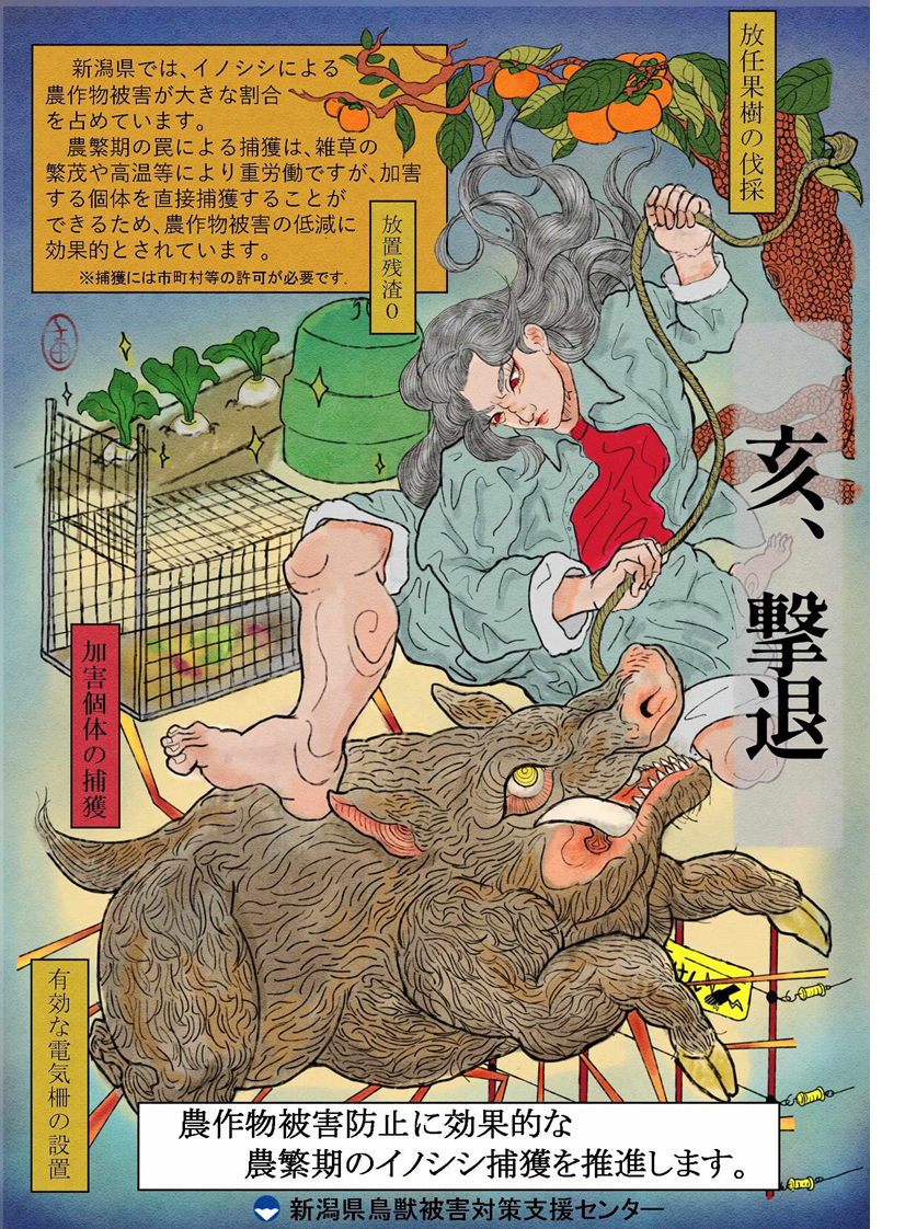 イノシシ捕獲推進ポスター