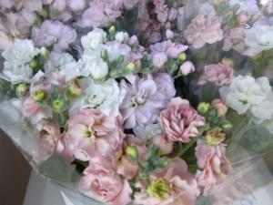 ストックの花束