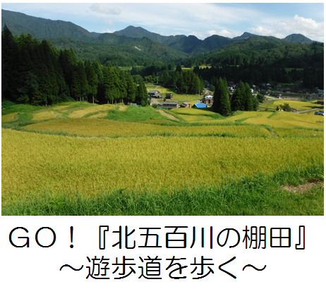 北五百川の棚田の記事へのリンク画像