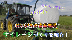 画像　イネホールクロップサイレージのつくり方の動画