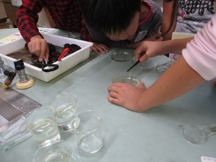 H301005保健・環境学習4