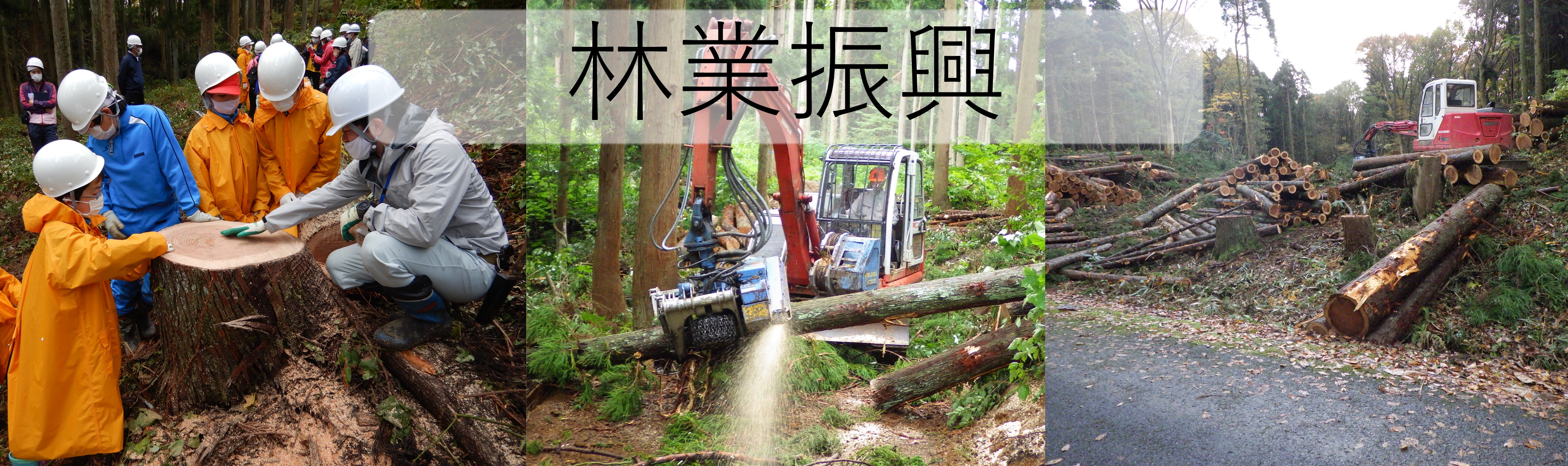 林業振興のバナー画像