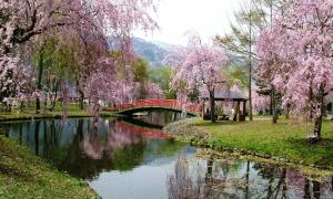 湯沢中央公園の画像