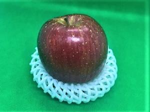 りんごの写真