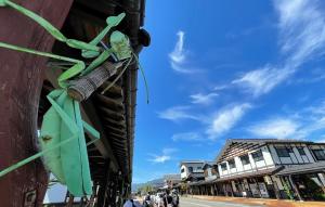 六日町駅発！登川・塩沢20kmポタリングコース