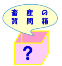 画像　畜産の質問箱