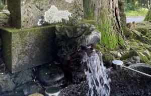 雷電様の清水の画像