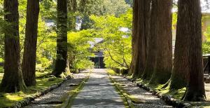 雲洞庵参道の画像