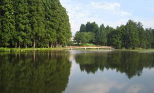 お松の池の画像