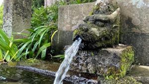 竜谷の清水の画像