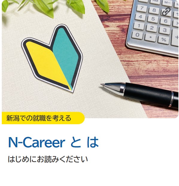 Nキャリアとは