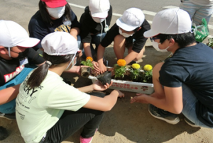 花を植えている様子