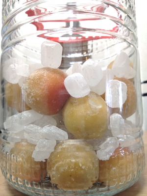 ビンに詰めた梅と氷砂糖