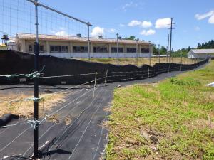 豚舎エリアを囲う柵