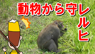 もっと詳しく学びたい人は、自然・環境の動画や「なるほど！自然・環境ブック」を見てみようの画像3