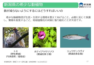 もっと詳しく学びたい人は、自然・環境の動画や「なるほど！自然・環境ブック」を見てみようの画像6