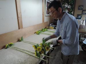 ヒマワリの調整作業