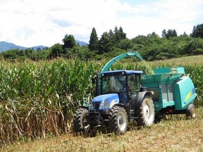 刈取、粉砕、成型の作業をするトラクター