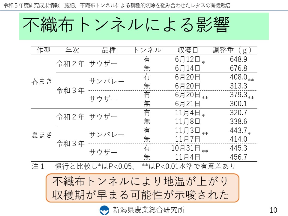 スライド10