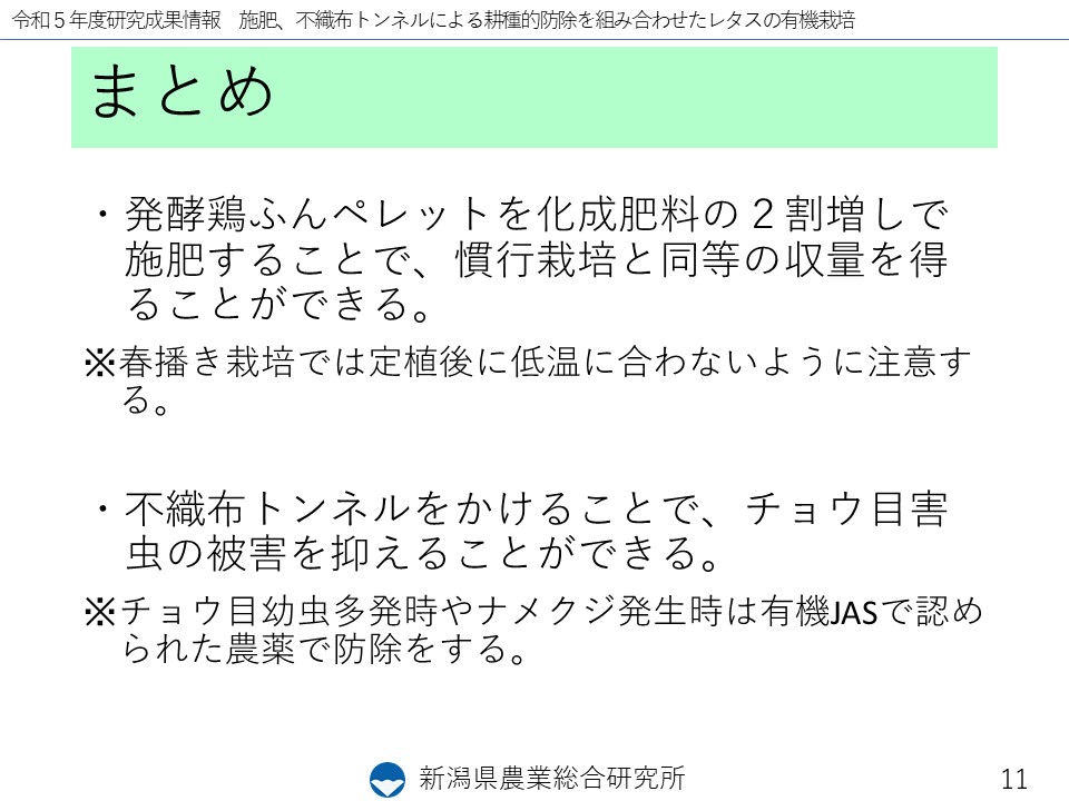 スライド11