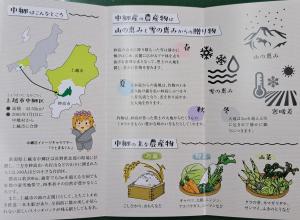 リーフレット