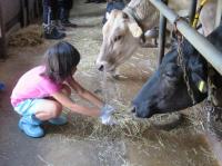 画像　親子わくわくモーモースクールエサやり作業風景