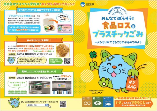 リーフレット表