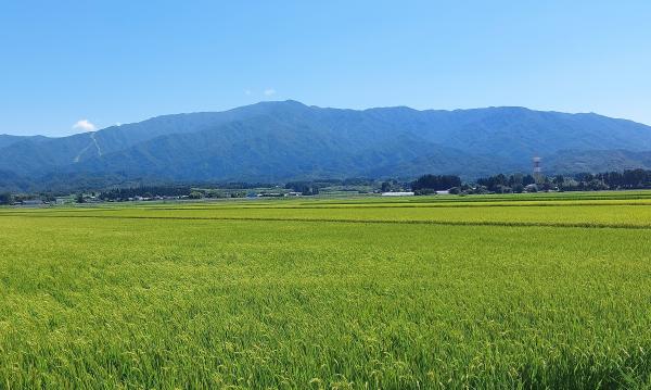 夏の川東