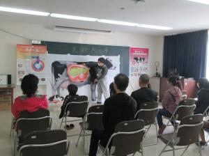 イラストを用いて乳牛について説明