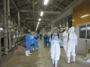 牛舎を見学する参加者