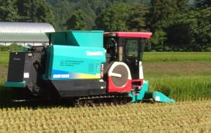 画像 飼料用コシヒカリの収穫風景