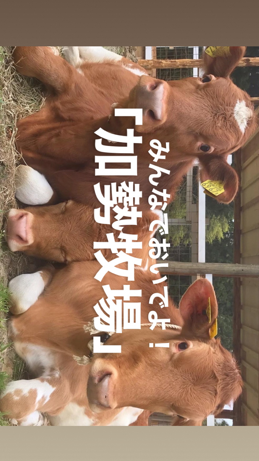 画像 加勢牧場紹介動画のサムネイル