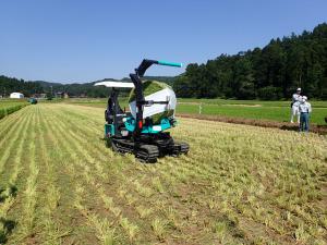 画像　発酵粗飼料用稲のラッピング作業風景