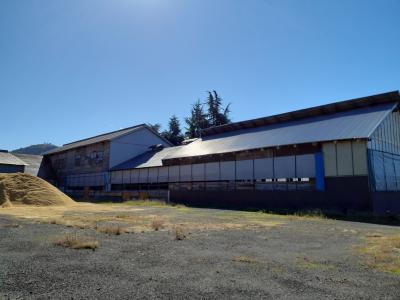 農場番号3魚沼市の酪農場の写真2です。