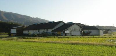 農場番号4胎内市の酪農場の写真1です。