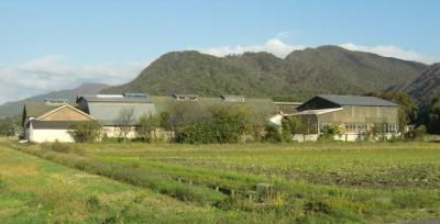 農場番号4胎内市の酪農場の写真2です。