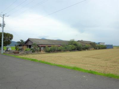 農場番号1燕市の酪農場の写真1です。