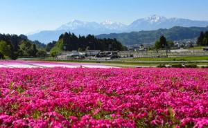 花と緑と雪の里公園