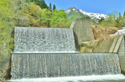 魅力発見賞の画像
