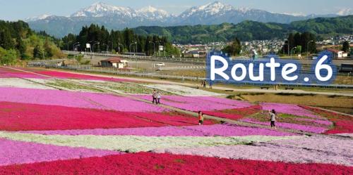 花と緑と雪の里公園の画像