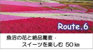 魚沼の花と絶品蕎麦・スイーツを楽しむ50㎞