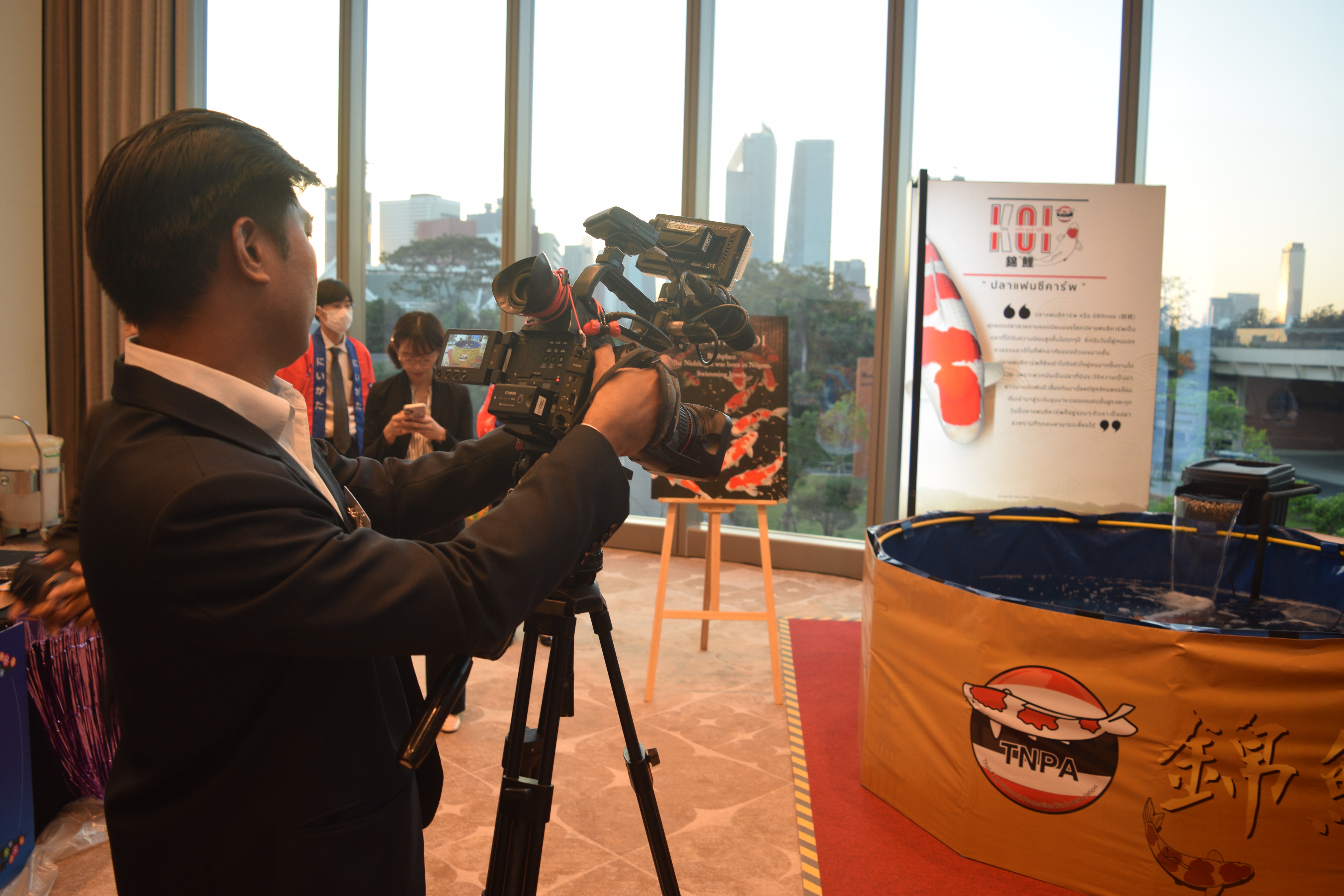 錦鯉メディア撮影