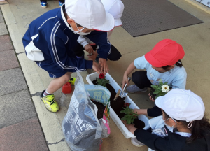 人権の花運動の様子
