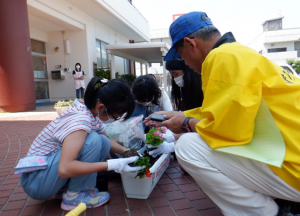 人権の花運動の様子