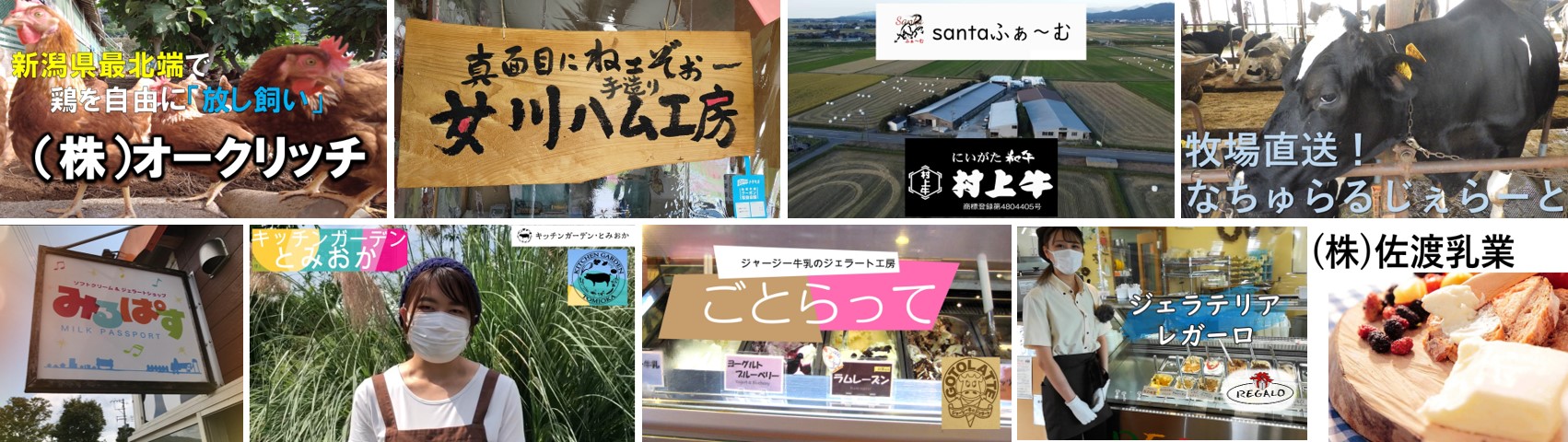 画像　下越・佐渡エリアの畜産物はこちら！