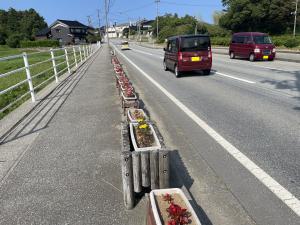 プランターの植栽完成